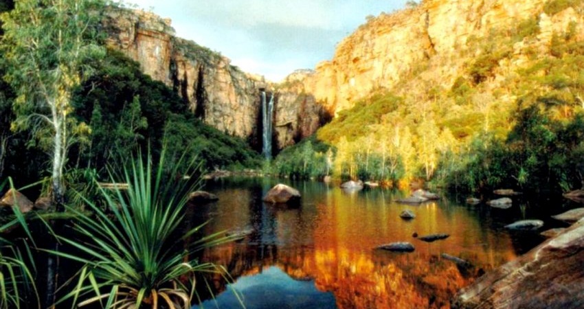 Австралийский Национальный Парк Какаду фото