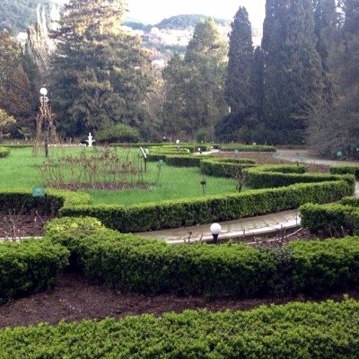 Никитский ботанический сад в Крыму фото