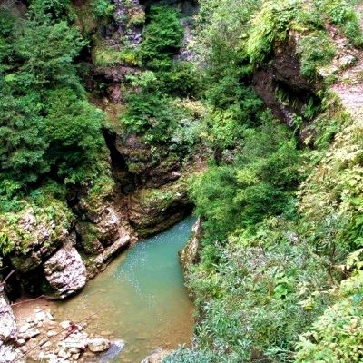 Гуамское ущелье в Сочи фото