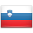 Флаг Словении